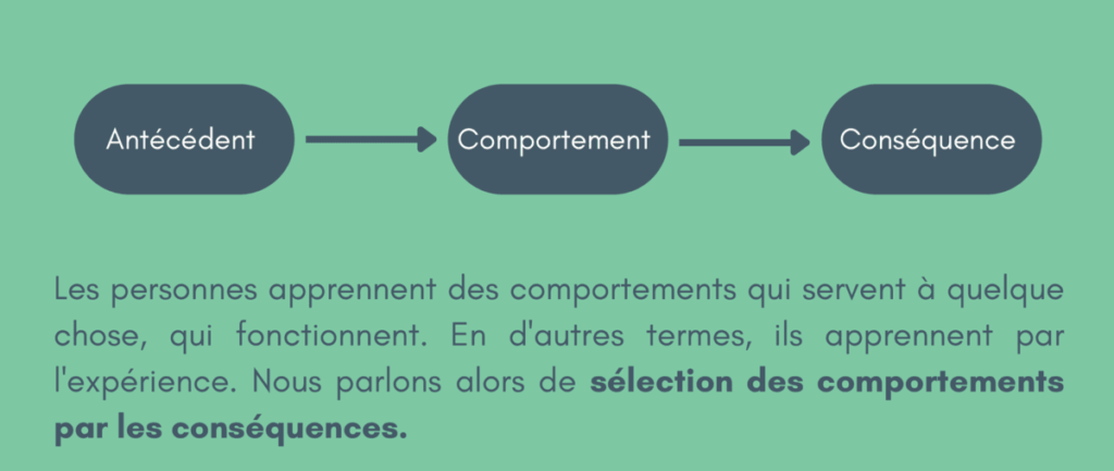 Schéma du modèle ABC